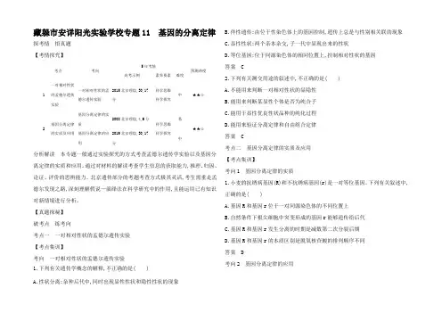高考生物一轮复习 专题 基因的分离律精练(含解析)