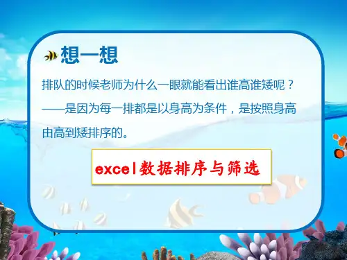 《数据的排序与筛选》课件