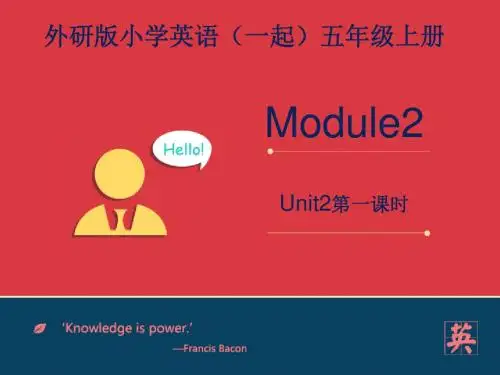外研新标版一起五年级上M2U2They sell many different things 课件第