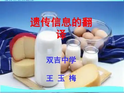 遗传信息的翻译ppt2 精品课件