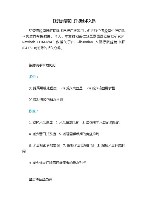 【腹腔镜篇】肝切除术入路