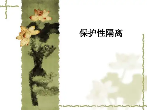 保护性隔离ppt课件