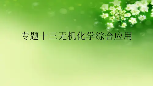 专题十三无机化学综合应用【可编辑PPT】