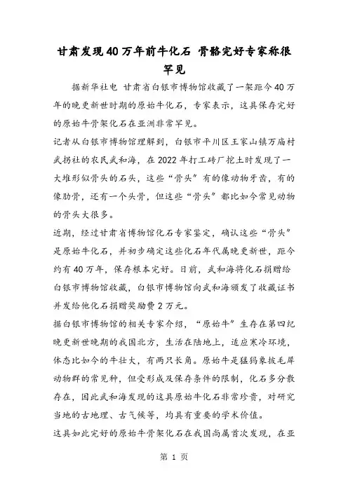 甘肃发现40万年前牛化石 骨骼完整专家称很罕见