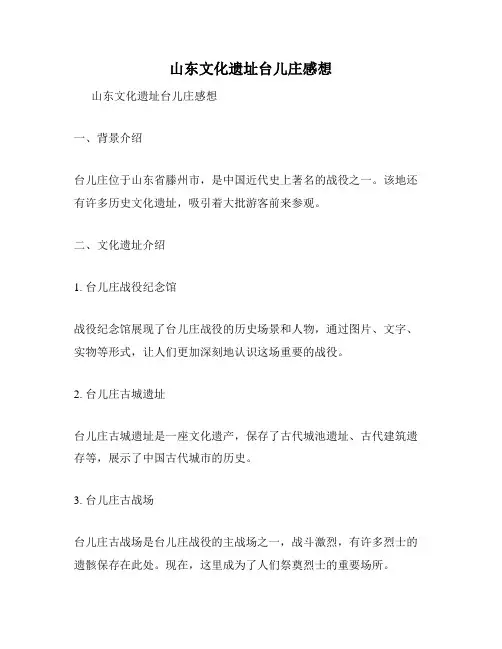 山东文化遗址台儿庄感想