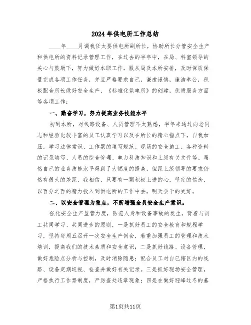 2024年供电所工作总结(五篇)