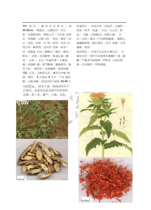 种常用中药大全有彩图