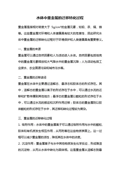 水体中重金属的迁移转化过程