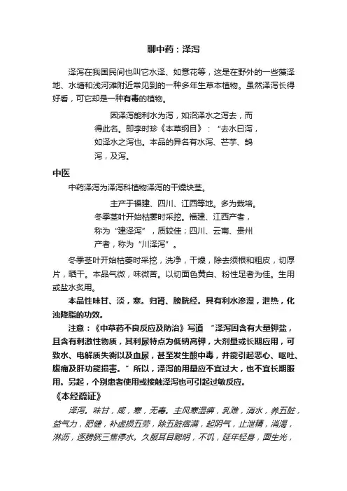 聊中药：泽泻