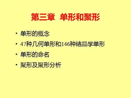 单形和聚形