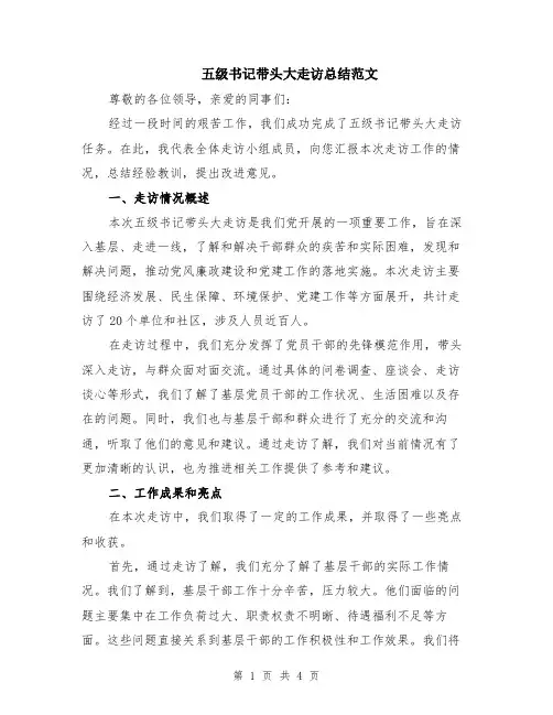 五级书记带头大走访总结范文