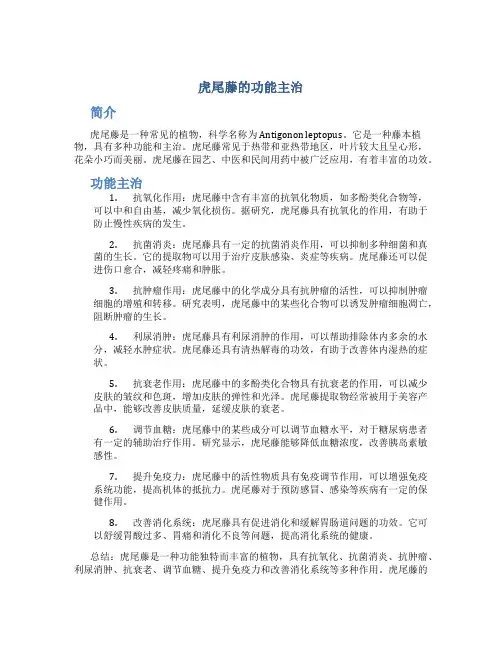虎尾藤的功能主治