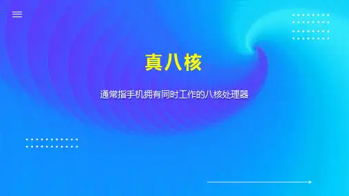 真八核    