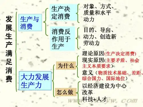 4.2 我国的基本经济制度 ppt