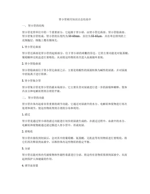 肾小管相关知识点总结高中