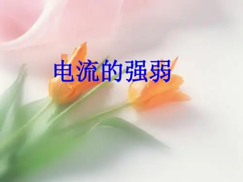 电流的强弱