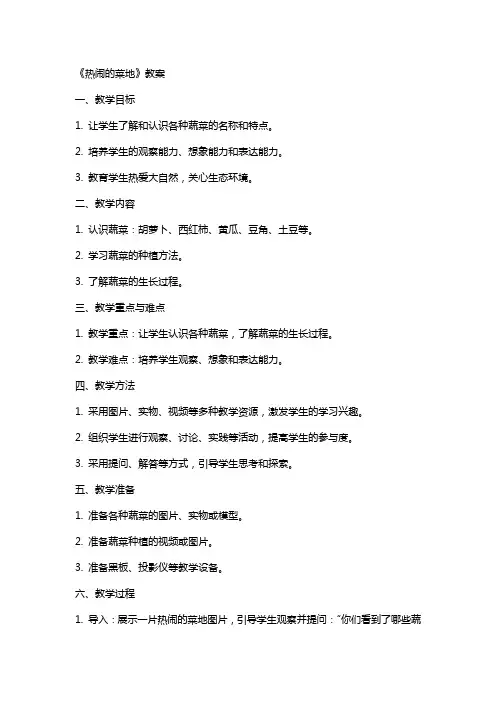 《热闹的菜地》教案