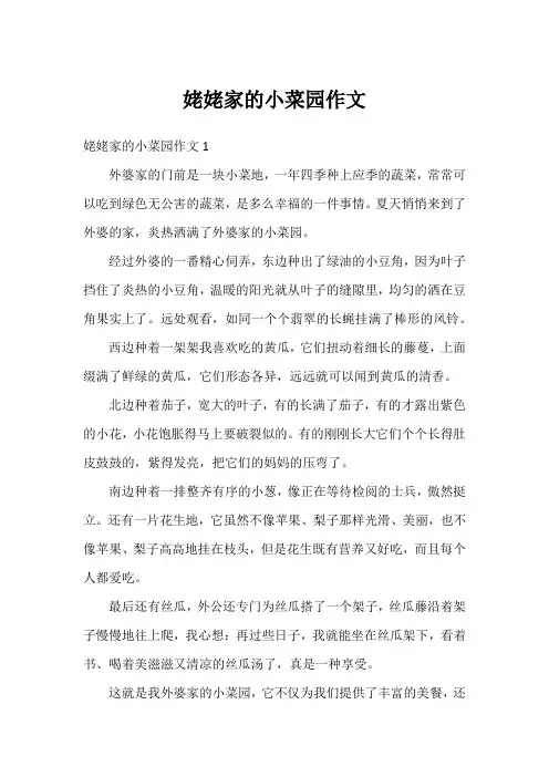 姥姥家的小菜园作文