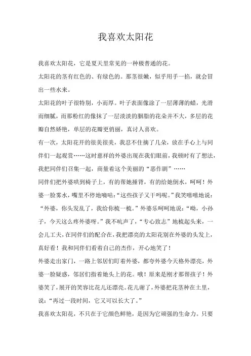 初一状物我喜欢太阳花