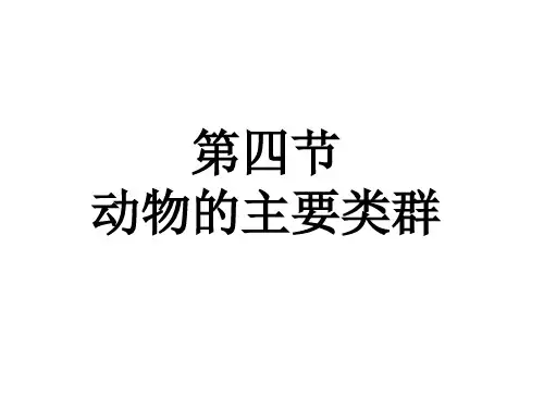 北师大版生物八下22.4《动物的主要类群》精典课件(共52张PPT)