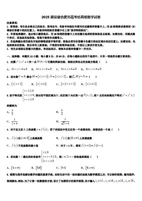 2025届安徽合肥市高考仿真卷数学试卷含解析