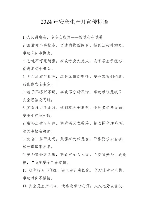 2024年《安全生产月》宣传标语   (5份)_54