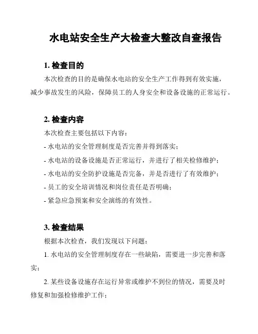 水电站安全生产大检查大整改自查报告
