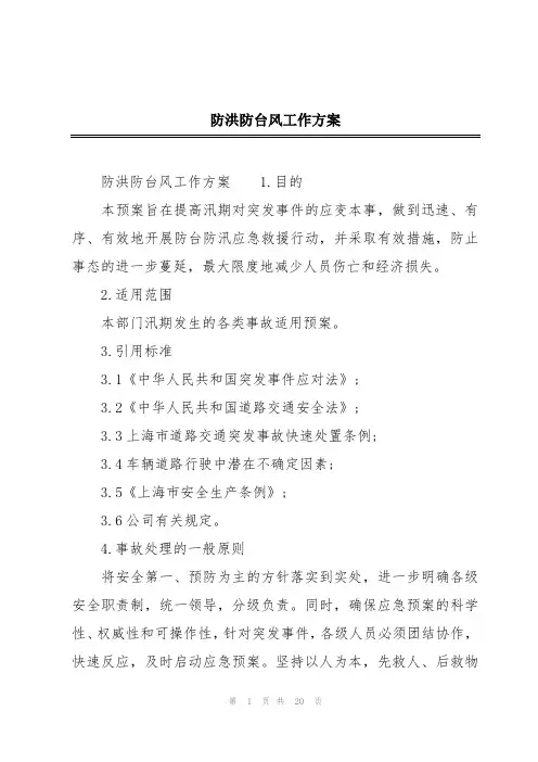 防洪防台风工作方案