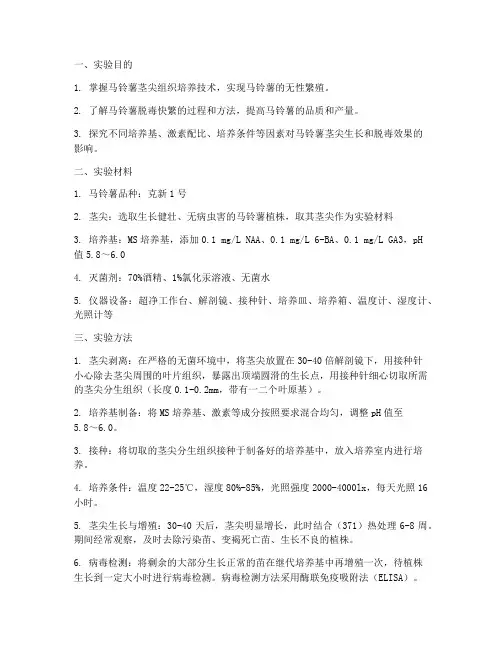 马铃薯快繁实验报告