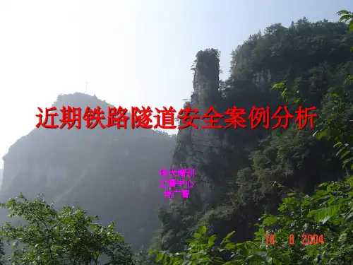 《铁路安全事故分析》PPT课件