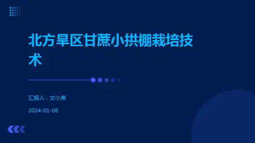 北方旱区甘蔗小拱棚栽培技术