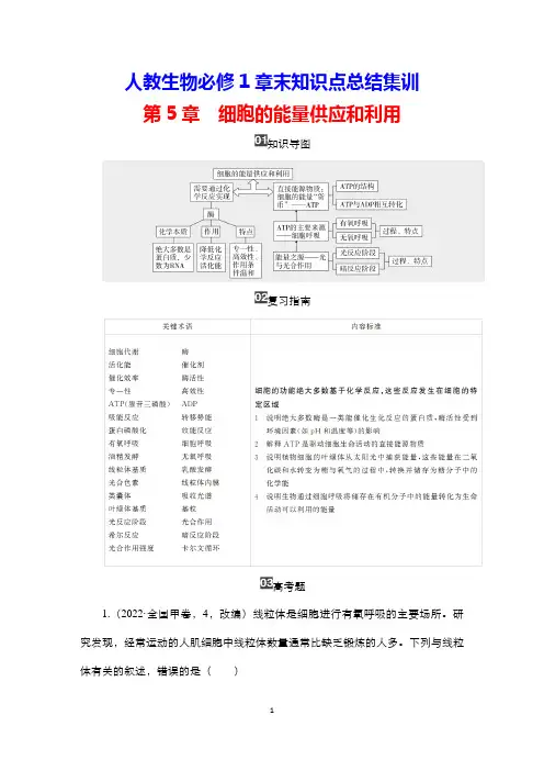 人教生物必修1章末知识点总结集训：第5章 细胞的能量供应和利用