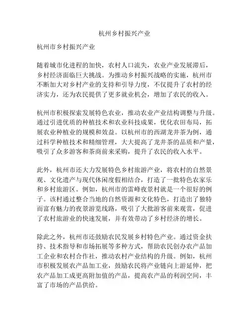 杭州乡村振兴产业