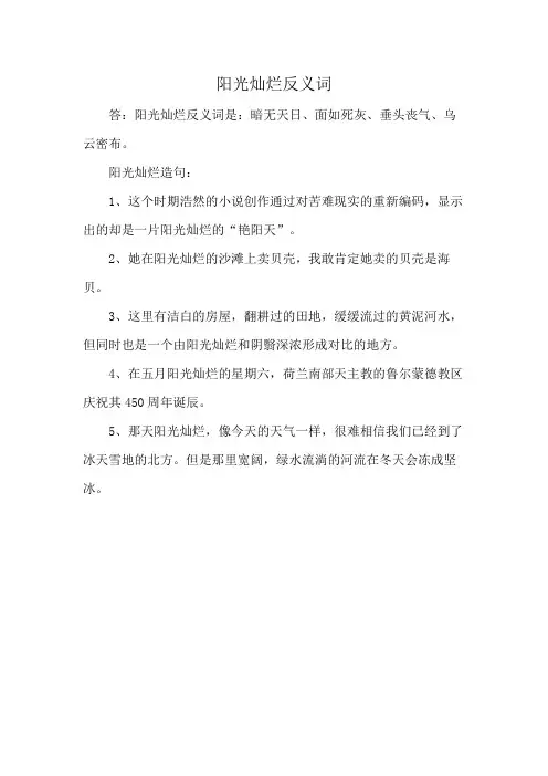 阳光灿烂反义词