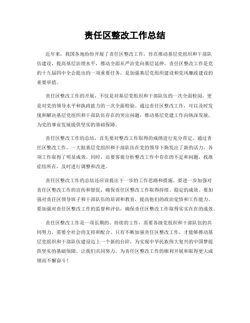 责任区整改工作总结