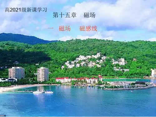 直线电流等6种磁场的磁感线分布演示