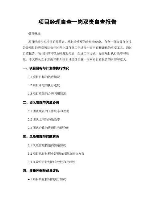 项目经理自查一岗双责自查报告