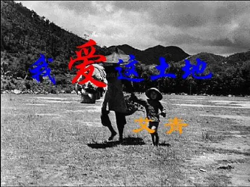 2.我爱这土地 (共32张PPT)