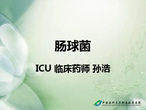 肠球菌