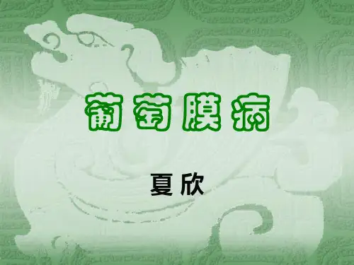 葡萄膜病-眼科学-06