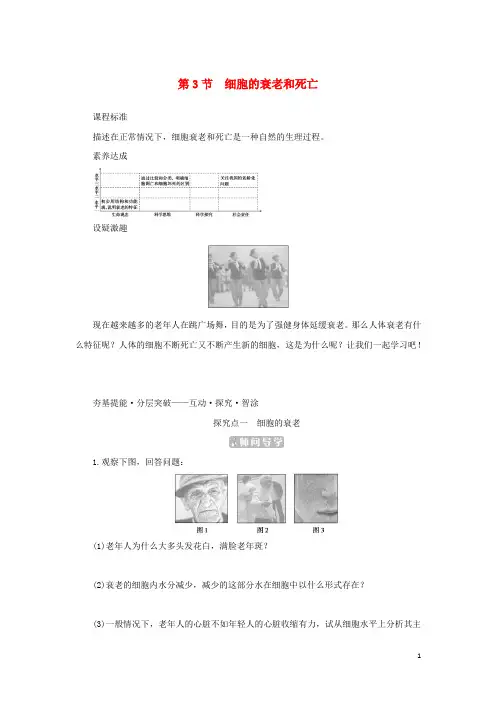 2023新教材高中生物第6章细胞的生命历程第3节细胞的衰老和死亡课堂互动探究案新人教版必修1