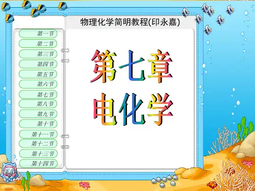 物理化学简明教程(印永嘉) 电化学