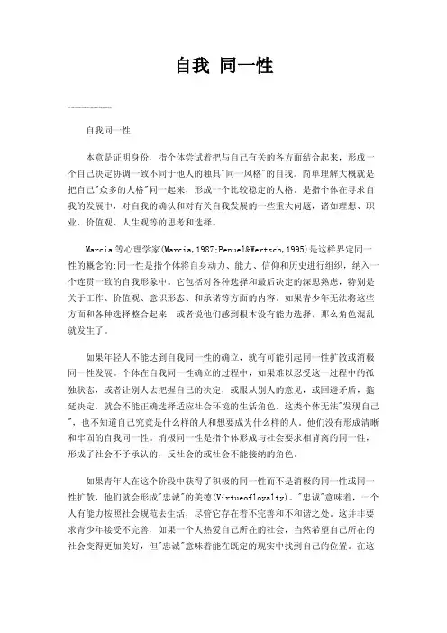 自我同一性——精选推荐