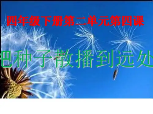 四年级下 - 把种子散播到远处教科版ppt精美课件 (共27张PPT)