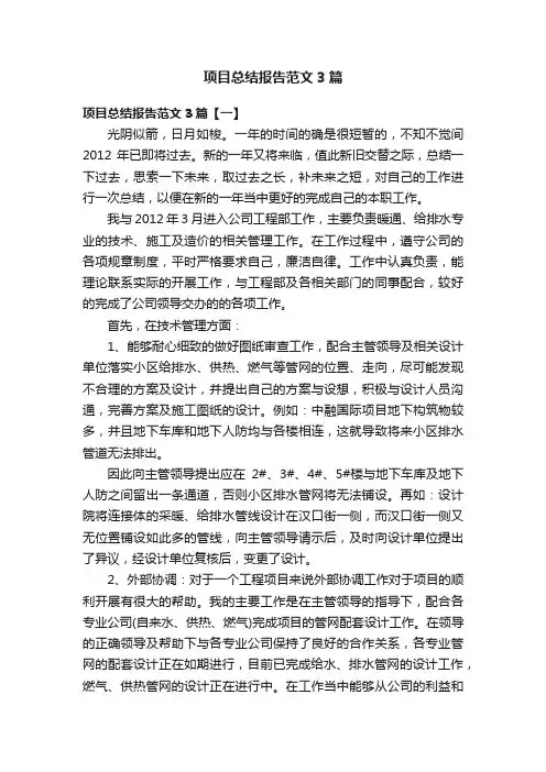 项目总结报告范文3篇