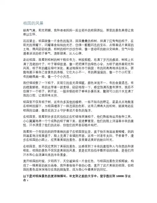 桔园的风景小学生作文