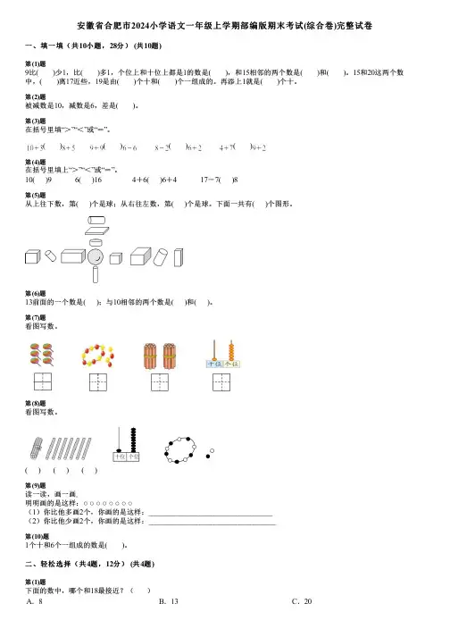 安徽省合肥市2024小学数学一年级上学期部编版期末考试(综合卷)完整试卷