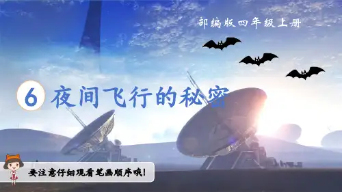 部编版四年级上册第6课 夜间飞行的秘密 优秀课件(笔顺)