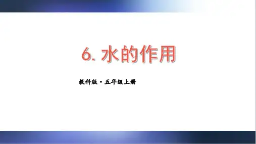 教科版五年级科学上册第6课 水的作用