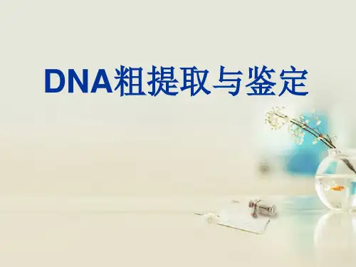 高中生物《第五章 第一节 DNA的粗提取与鉴定》课件2 新人教版选修1